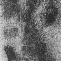 pareidolie 3